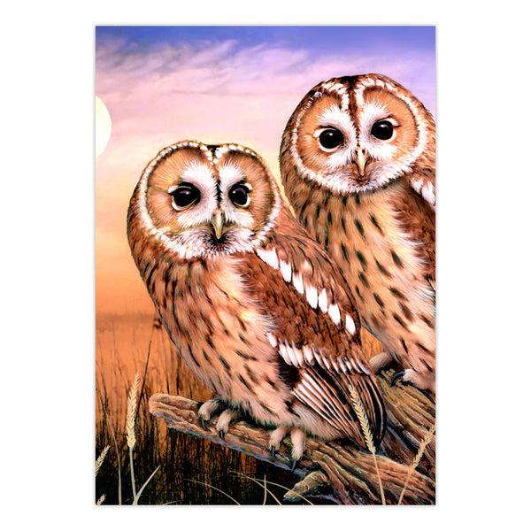 Royal And Langnickel PJS87 | Painting By Numbers™ 10pc 8.75" X 11.375" Tawny Owls Painting Project