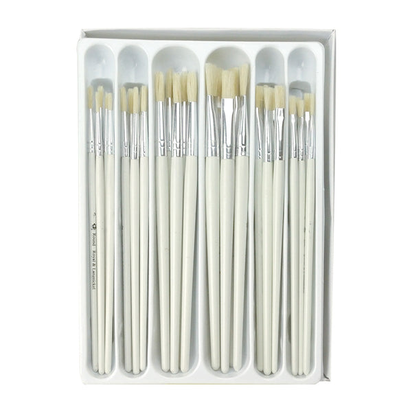 royal and langnickel RCVP-103 | 30pc Bristle Hair Classroom Box Set