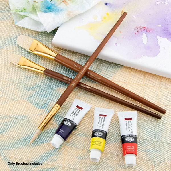 Royal And Langnickel RSET-9169 | 3pc Bristle Long Handle Variety Brush Set