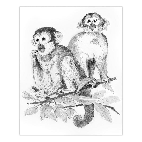 Royal And Langnickel SKBN17 | Sketching Made Easy™ Monkeys 10pc 8.75" X 11.75" Sketching Art Project