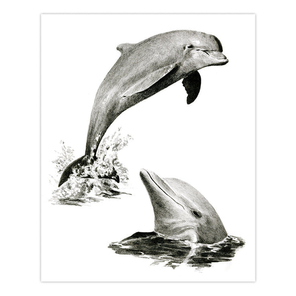 Royal And Langnickel SKBN19 | Sketching Made Easy™ Dolphins 10pc 8.75" X 11.75" Sketching Art Project
