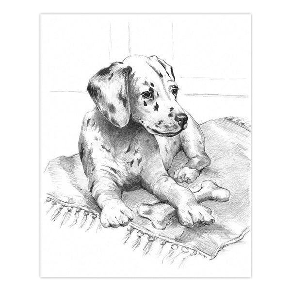 Royal And Langnickel SKBN21 | Sketching Made Easy™ Dalmation Pup 10pc 8.75" X 11.75" Sketching Art Project