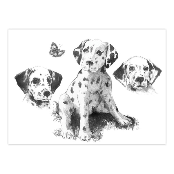 Royal And Langnickel SKBNL1 | Sketching Made Easy™ Dalmatians 10pc 11.25" X 15.375" Sketching Art Project