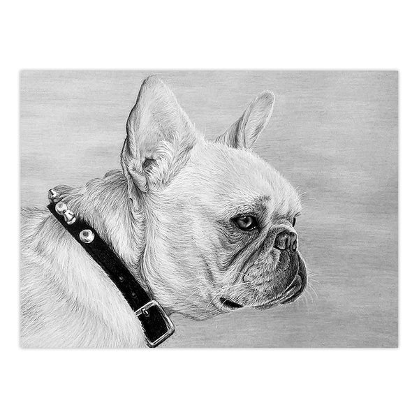 Royal And Langnickel SKBNL12 | Sketching Made Easy™ 10pc 11.25" X 15.375" French Bulldog Sketching Art Project