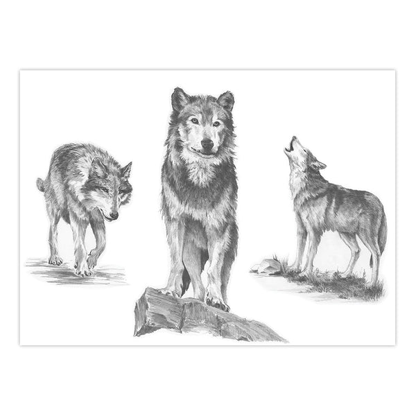 Royal And Langnickel SKBNL2 | Sketching Made Easy™ Wolves 10pc 11.25" X 15.375" Sketching Art Project