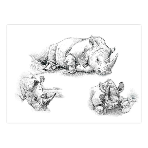 Royal And Langnickel SKBNL3 | Sketching Made Easy™ Rhinos 10pc 11.25" X 15.375" Sketching Art Project