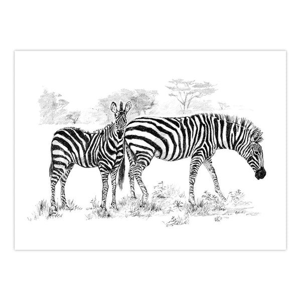 Royal And Langnickel SKBNL5 | Sketching Made Easy™ Zebras 10pc 11.25" X 15.375" Sketching Art Project