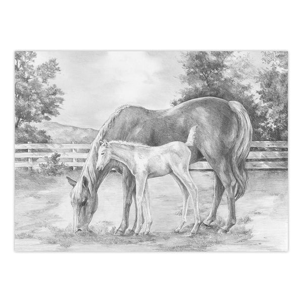 Royal And Langnickel SKBNL8 | Sketching Made Easy™ Horse & Colt 10pc 11.25" X 15.375" Sketching Art Project