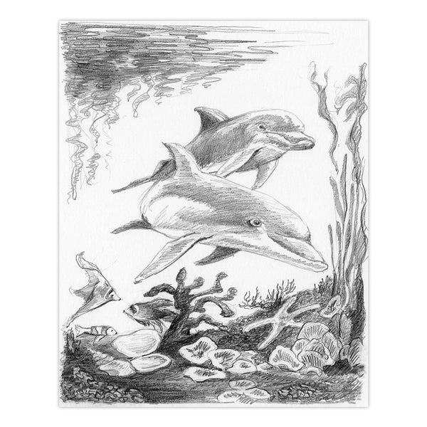 Royal And Langnickel SKMIN-101 | Sketching Made Easy™ Dolphins 8pc 5" X 7" Sketching Art Project