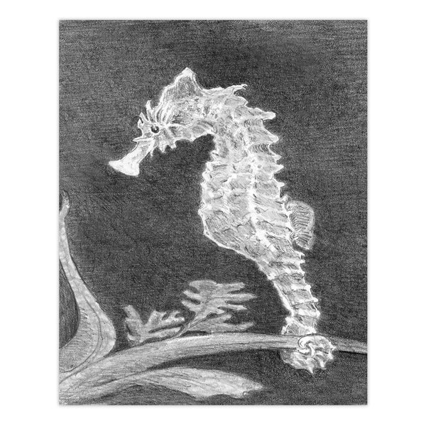 Royal And Langnickel SKMIN-103 | Sketching Made Easy™ Sea Horse 8pc 5" X 7" Sketching Art Project