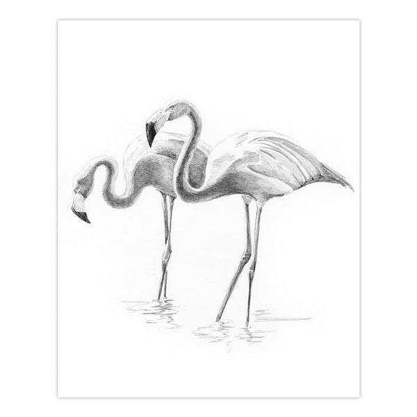 Royal And Langnickel SKMIN-109 | Sketching Made Easy™ Flamingoes 8pc 5" X 7" Sketching Art Project