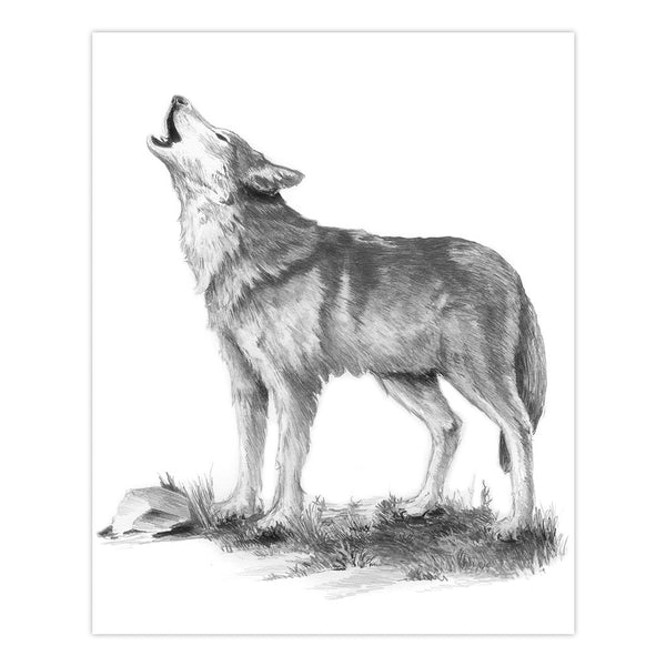 Royal And Langnickel SKMIN-110 | Sketching Made Easy™ Howl 8pc 5" X 7" Sketching Art Project