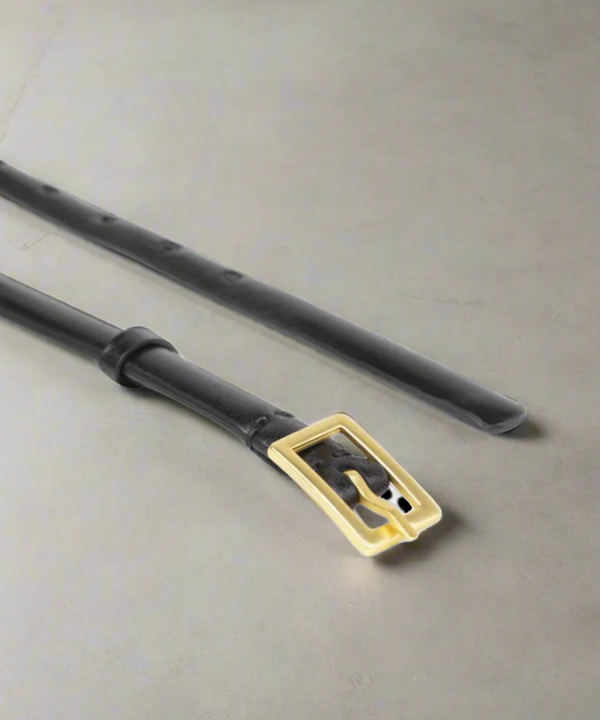 Royal Republiq Galaxy Belt