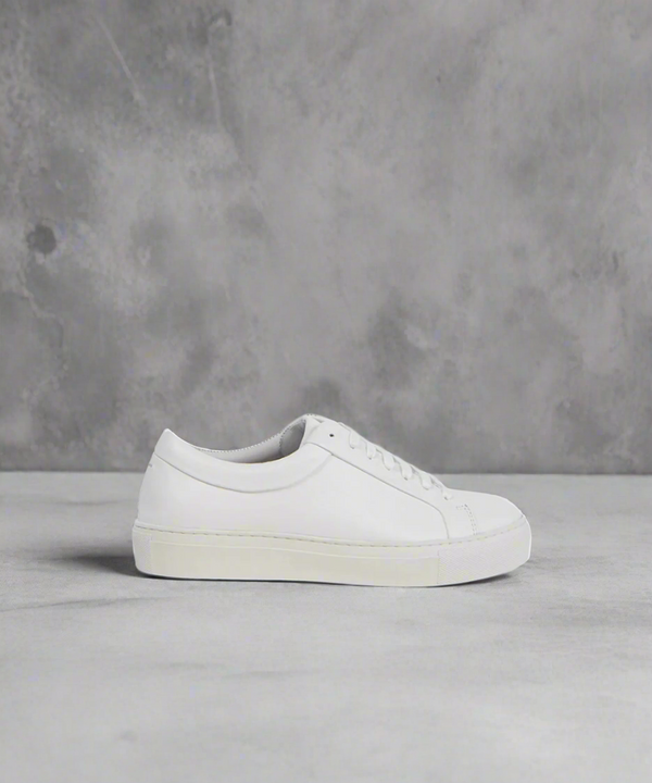 royal republiq Spartacus Core 235 - Women