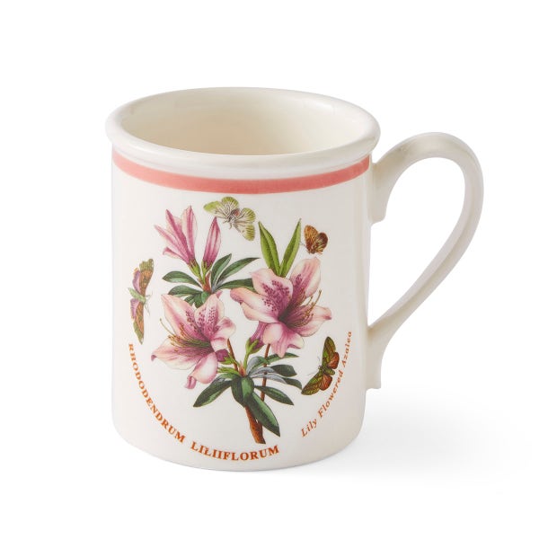 royal worcester Botanic Garden Meadow Breakfast Mug Azalea
