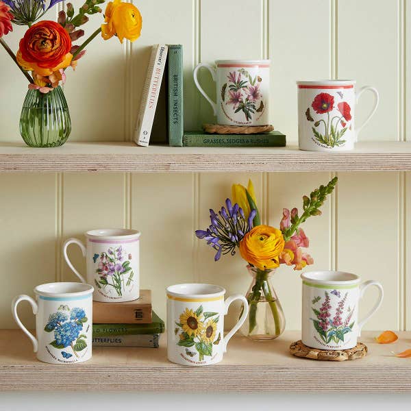 Royal Worcester Botanic Garden Meadow Breakfast Mug Poppy