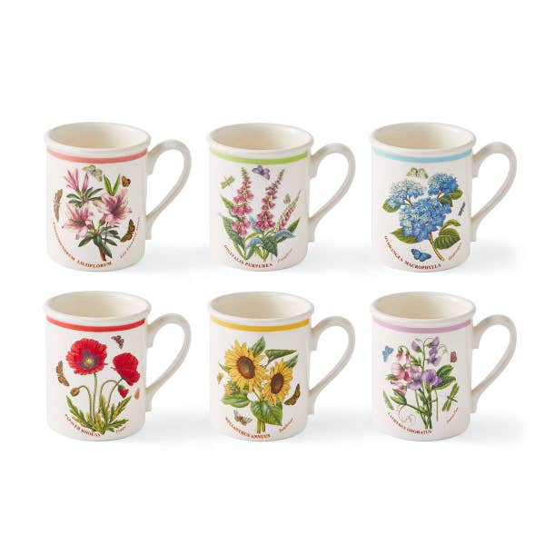 royal worcester Botanic Garden Meadow Set of 6 Breakfast Mugs Assorted