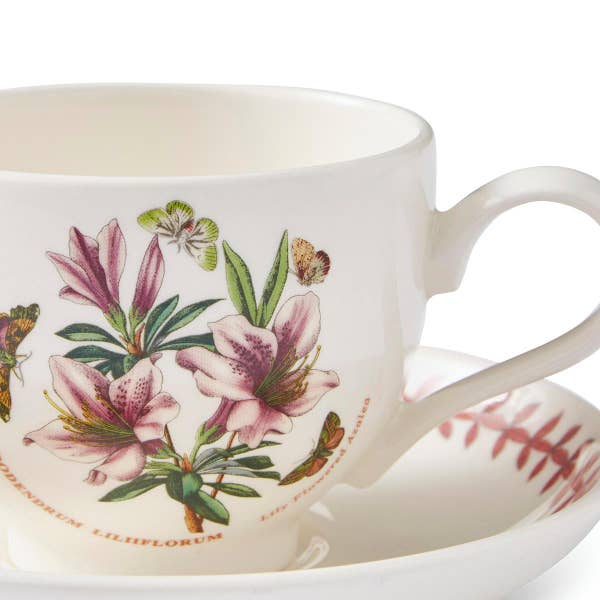 Royal Worcester Botanic Garden Meadow Set Of 6 Breakfast Teacups & Saucers Assorted