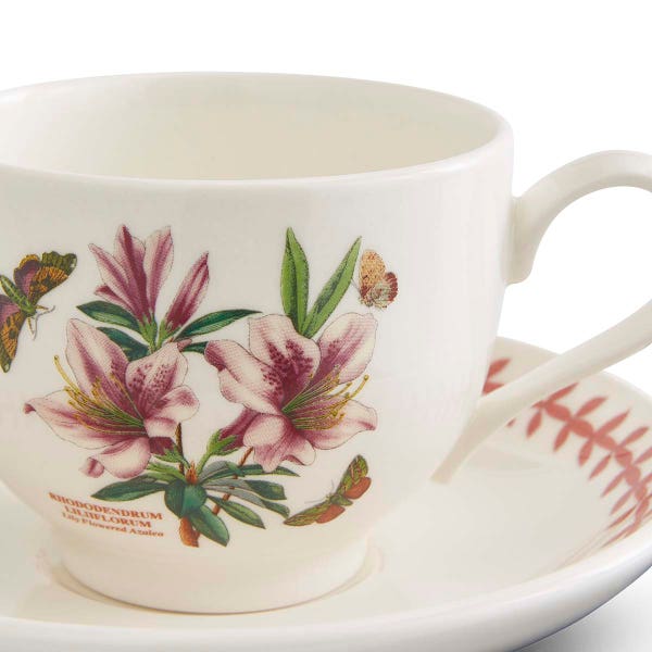 Royal Worcester Botanic Garden Meadow Set Of 6 Teacups & Saucers Assorted
