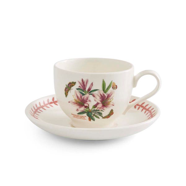 royal worcester Botanic Garden Meadow Teacup & Saucer Azalea