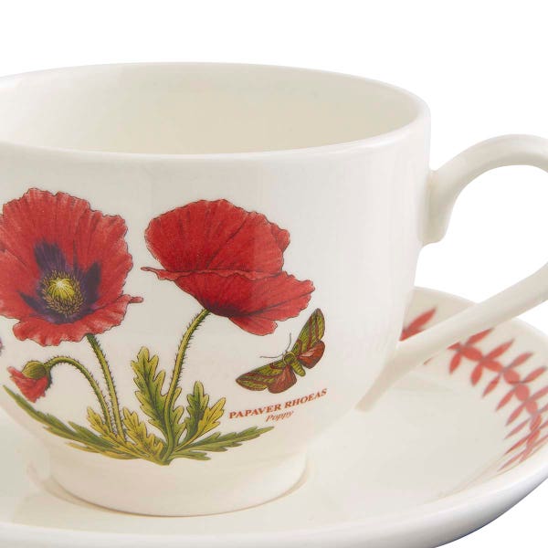 Royal Worcester Botanic Garden Meadow Teacup & Saucer Poppy