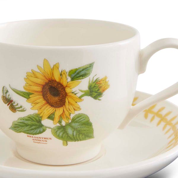 Royal Worcester Botanic Garden Meadow Teacup & Saucer Sunflower
