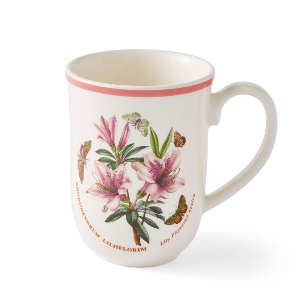 royal worcester Botanic Garden Meadow Tulip Mug Azalea