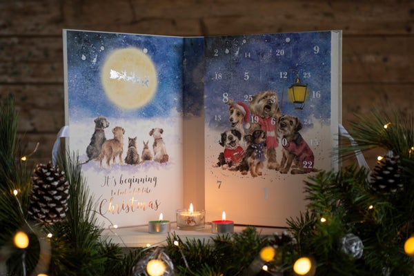 Royal Worcester Wrendale Advent Calendar