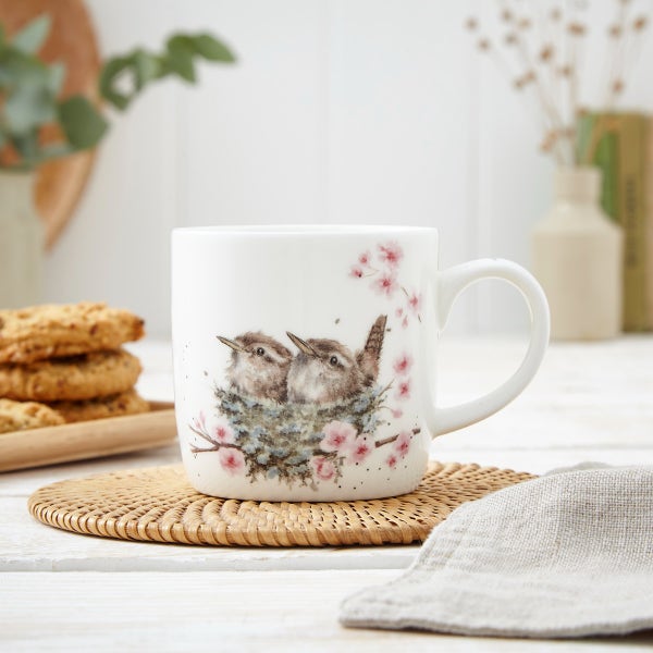 Royal Worcester Royal Worcester Wrendale Designs Mug - Feather Your Nest
