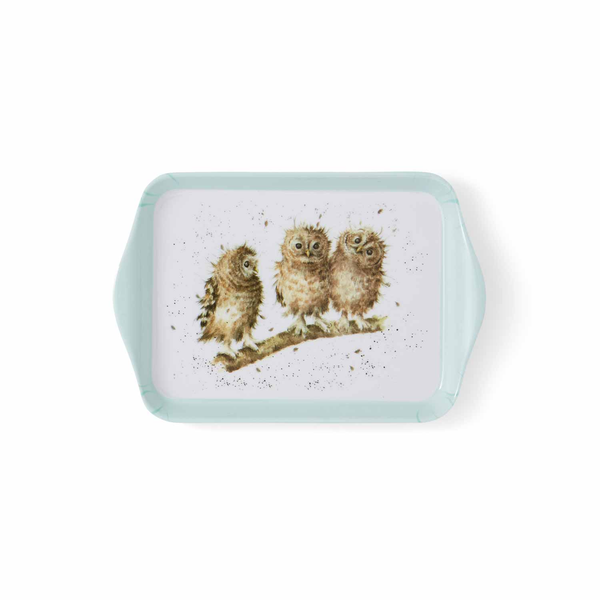 royal worcester Wrendale Designs Owl Scatter Tray