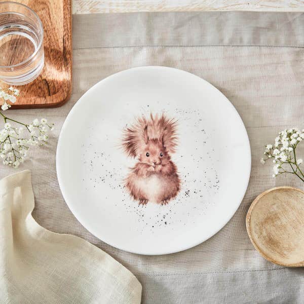Royal Worcester Wrendale Designs 4 Squirrel Coupe Plates 20cm