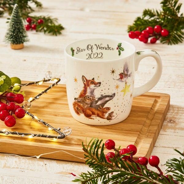 Royal Worcester Wrendale Designs Annual Star Of Wonder Mug