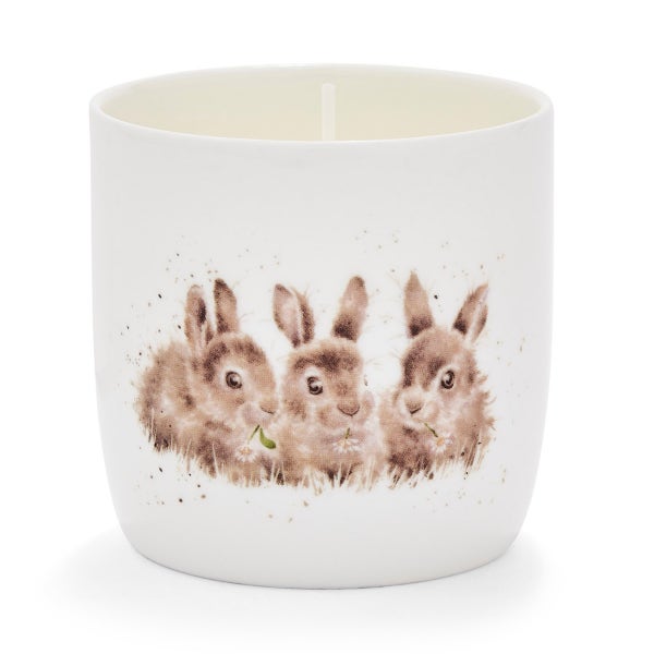 royal worcester Wrendale Designs Daisy Chain Jar Candle