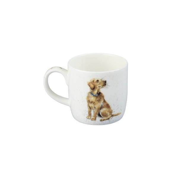 Royal Worcester Wrendale Designs Devotion Mug & Coaster Set