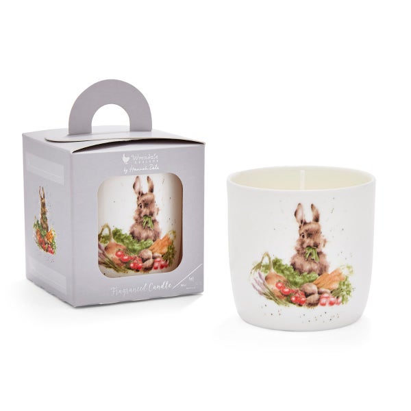 Royal Worcester Wrendale Designs Grow Your Own Jar Candle