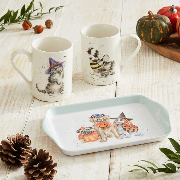 Royal Worcester Wrendale Designs Halloween Mug & Tray Set