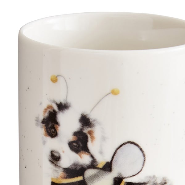 Royal Worcester Wrendale Designs Halloween Mug & Tray Set