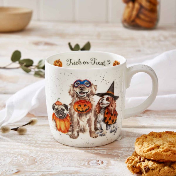 Royal Worcester Wrendale Designs Halloween Trick Or Treat Mug