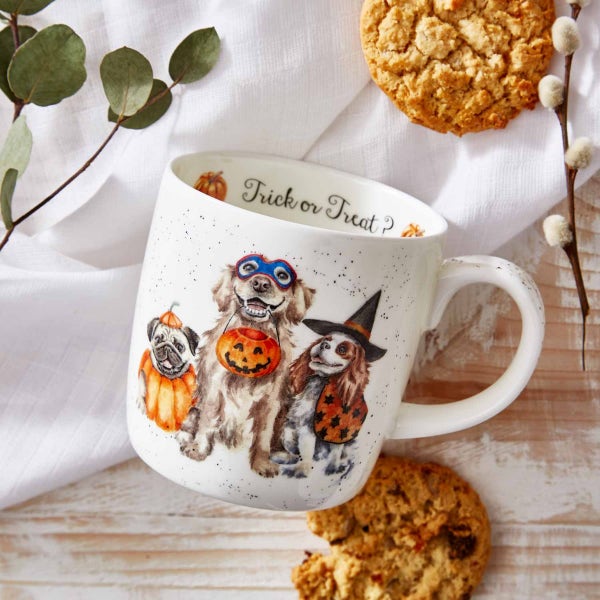 Royal Worcester Wrendale Designs Halloween Trick Or Treat Mug