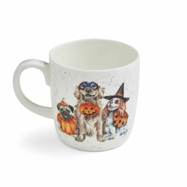 Royal Worcester Wrendale Designs Halloween Trick Or Treat Mug