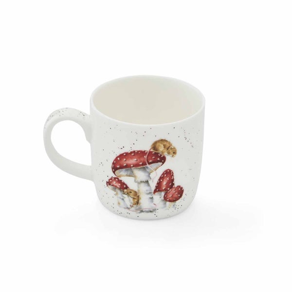 Royal Worcester Wrendale Designs He's A Fun-gi Mouse Mug
