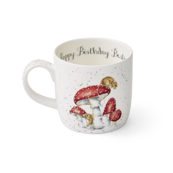 royal worcester Wrendale Designs He's a Fun-gi Personalised Mug