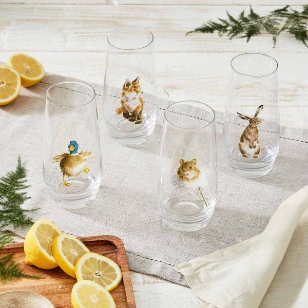 Royal Worcester Wrendale Designs Set Of 4 Highball Glasses
