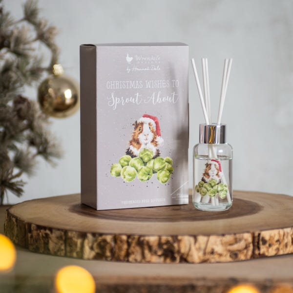 Royal Worcester Wrendale Designs Sprout About Reed Diffuser