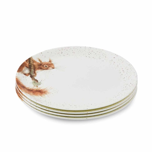 royal worcester Wrendale Designs Squirrel 4 Coupe Plates 26cm