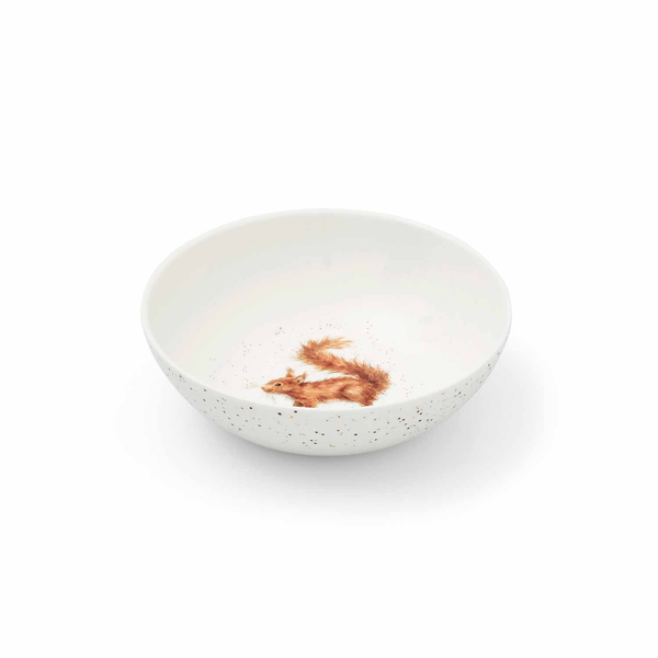 Royal Worcester Wrendale Designs Squirrel Set Of 4 Bowls