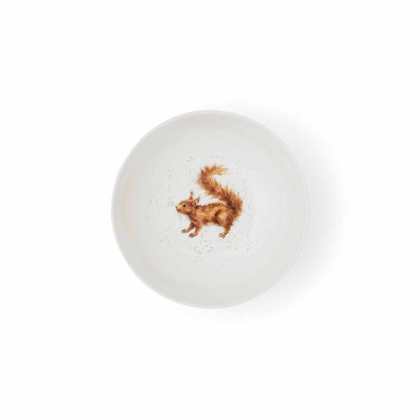 Royal Worcester Wrendale Designs Squirrel Set Of 4 Bowls