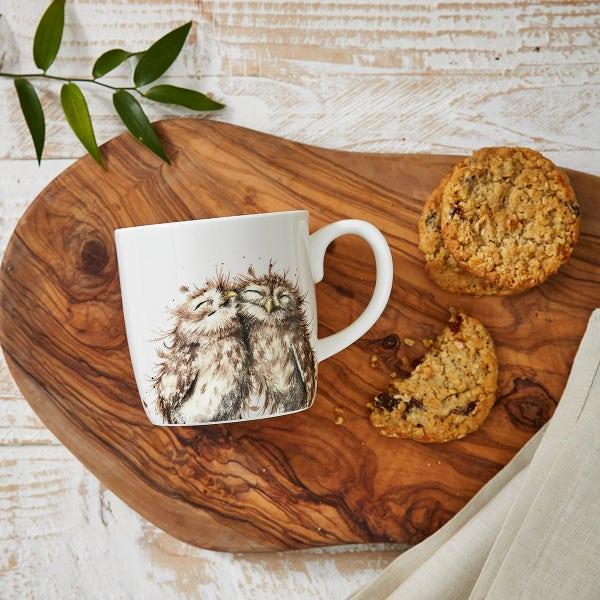 Royal Worcester Wrendale Designs The Twits Owls Large Mug