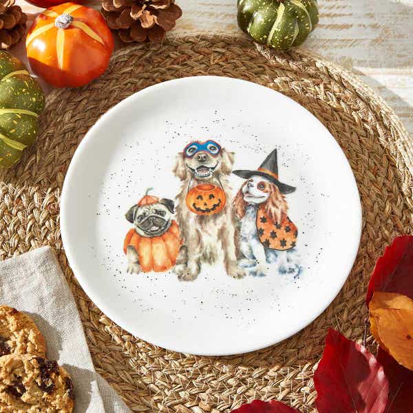 Royal Worcester Wrendale Designs Trick Or Treat Coupe Plate