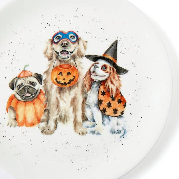 Royal Worcester Wrendale Designs Trick Or Treat Coupe Plate